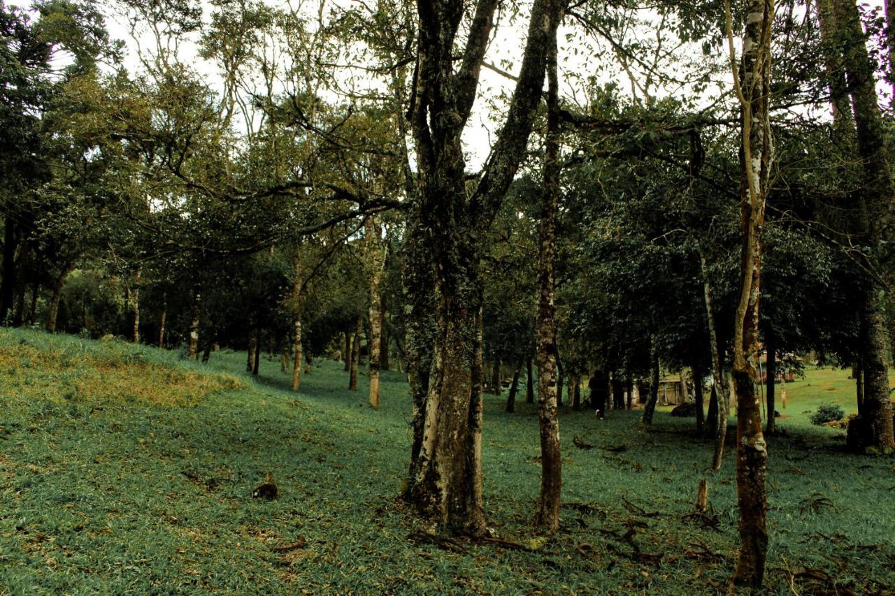Green Mountains Hotel Monte Verde  Exterior foto
